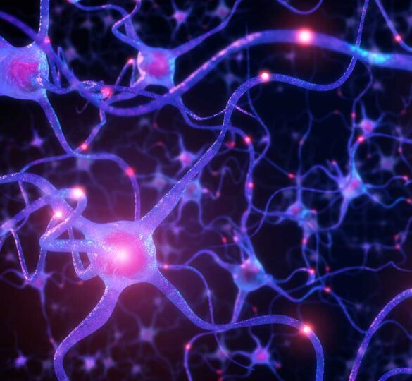 Grf Holds Catalyst Meeting: Solving Neurodegeneration